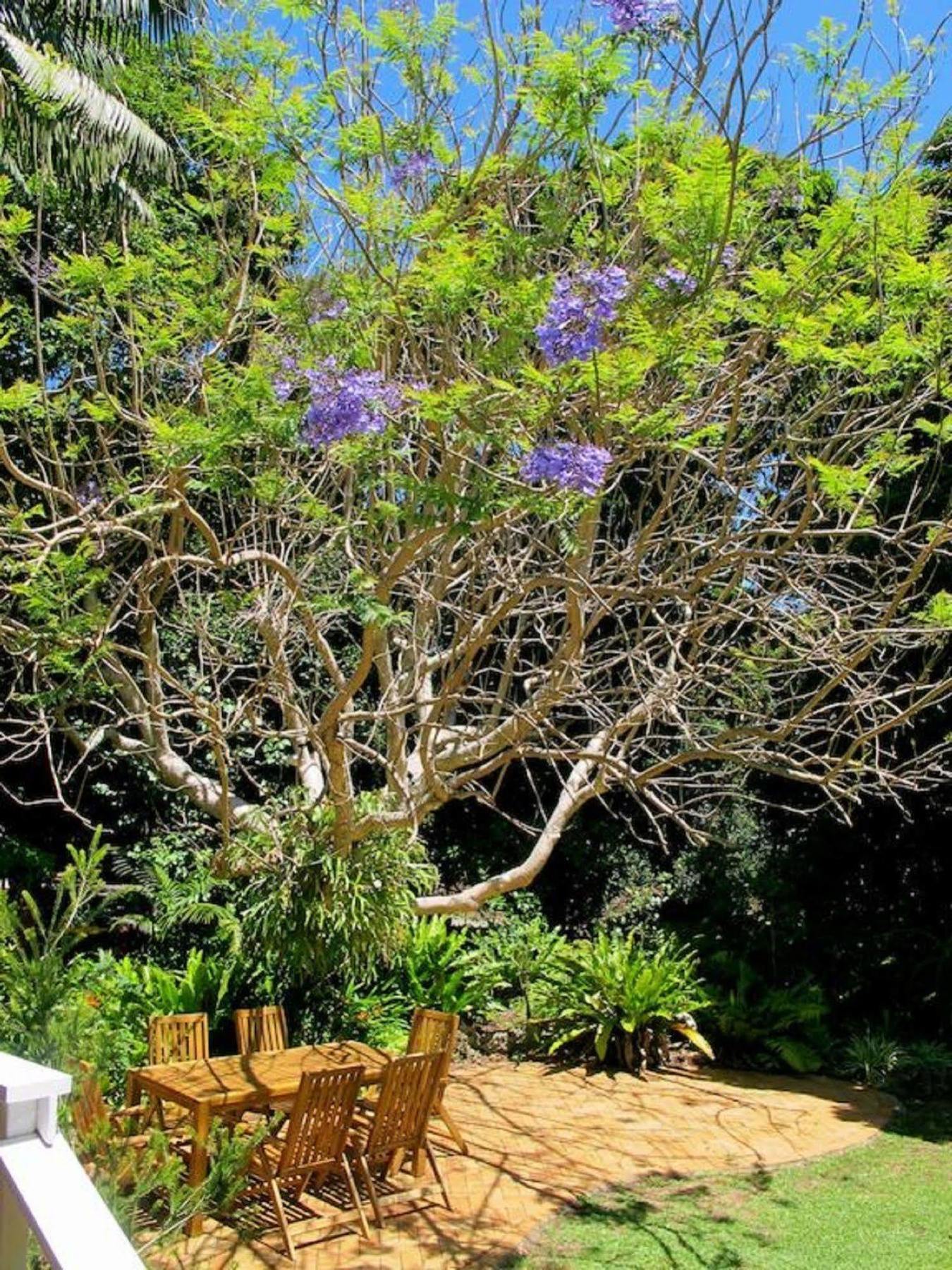 Beachcomber Lodge Lord Howe Island Exterior foto